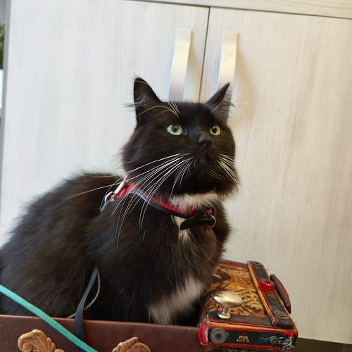 Photo #10363817