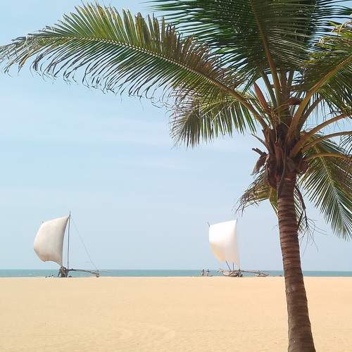 Photo #10363820