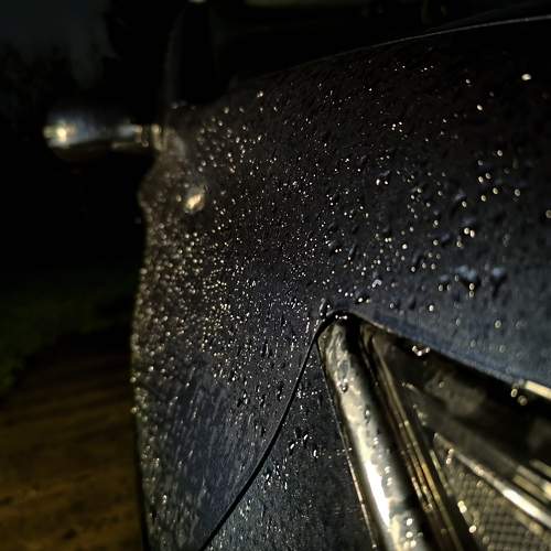 Photo #10363852