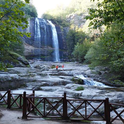 Photo #10363869