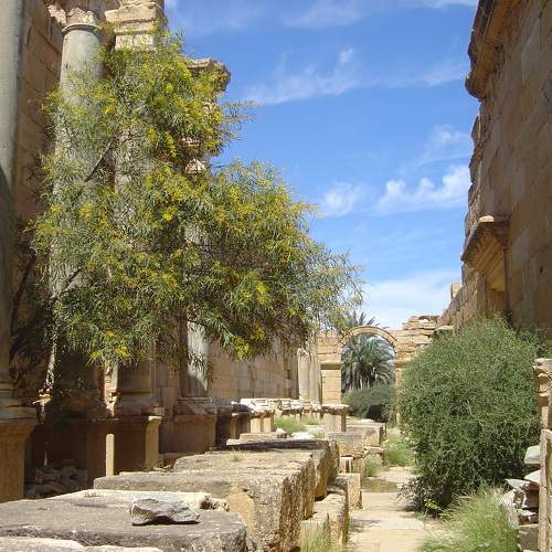 Photo #10363870