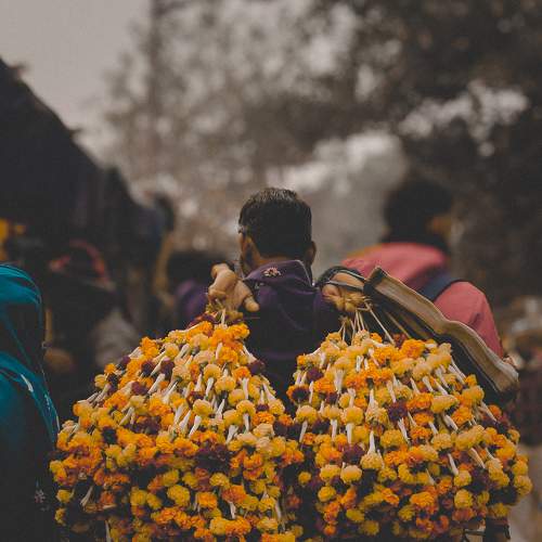 Tales of Flower Market