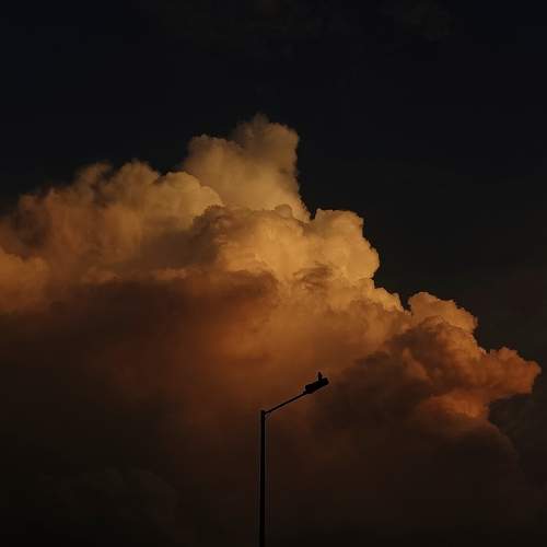 Photo #10363937