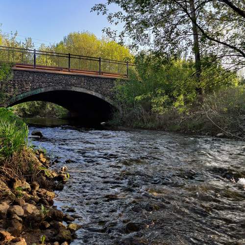 Photo #10363983