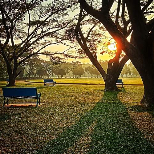 Morning Atmosphere