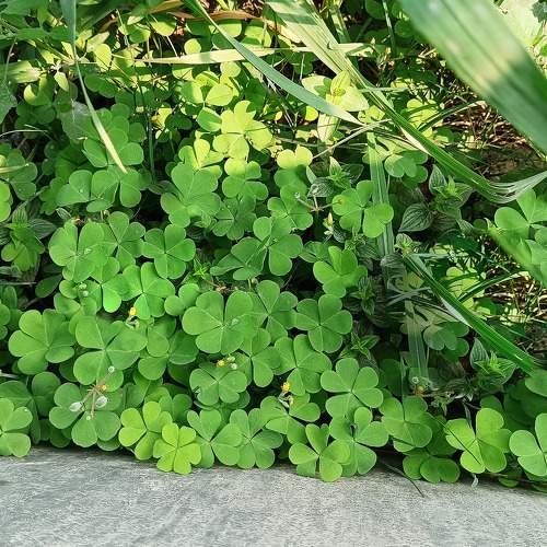 Photo #10364309
