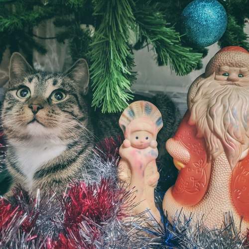 Photo #10364340