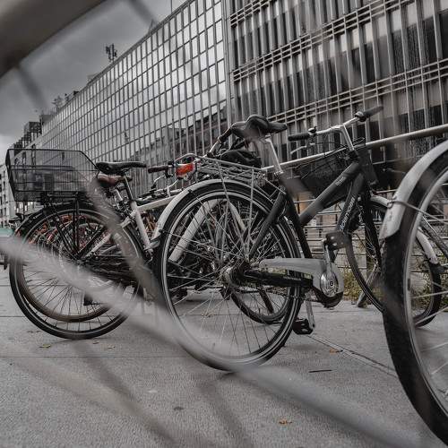 Photo #10364356