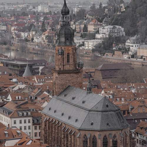 Photo #10364358