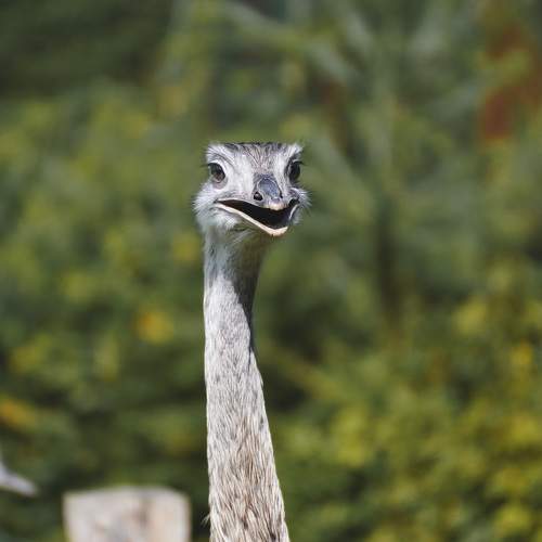 Photo #10364361