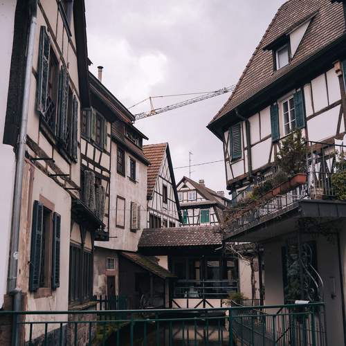 Photo #10364365