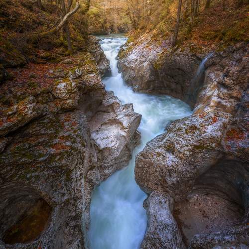 Фотография #10364435