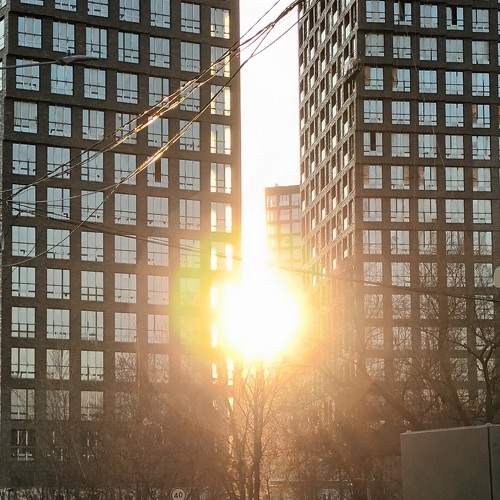 Photo #10364441