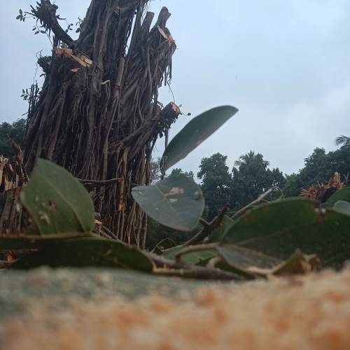 Photo #10364469