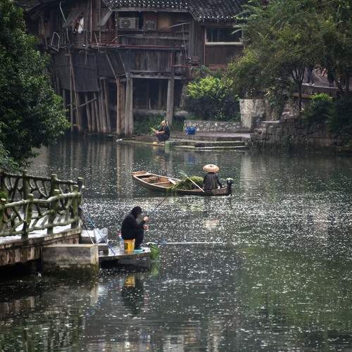 Photo #10364618