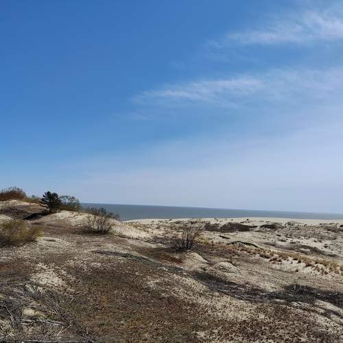 Photo #10364635
