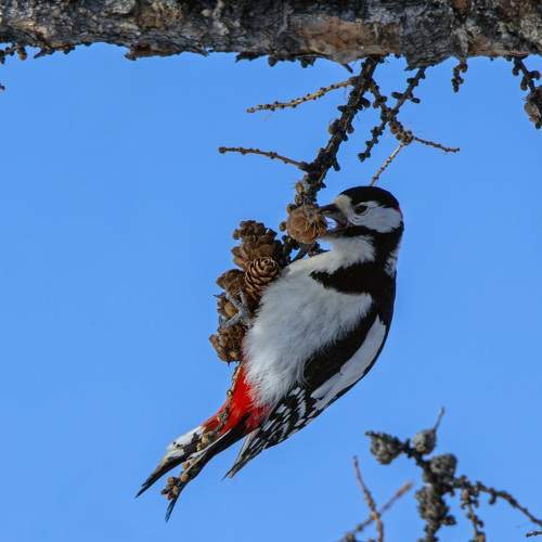 Photo #10364655