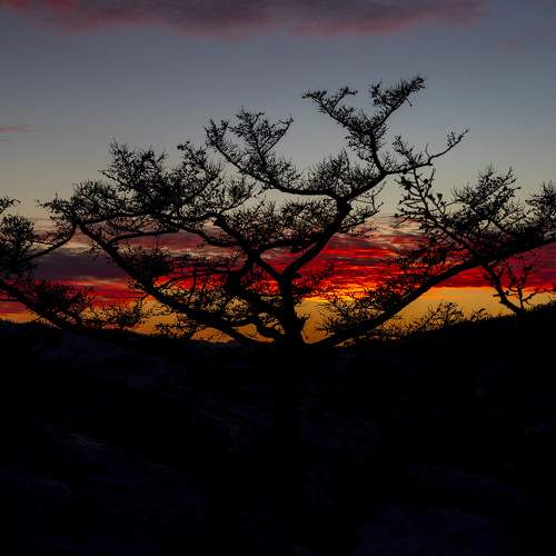 Photo #10364675
