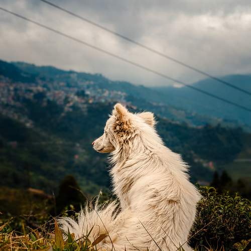 Photo #10365119