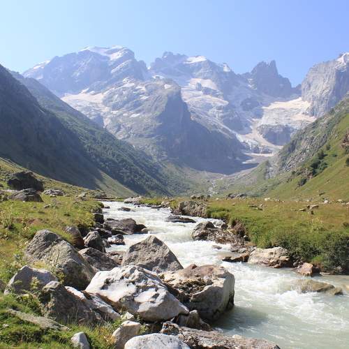 Photo #10365463
