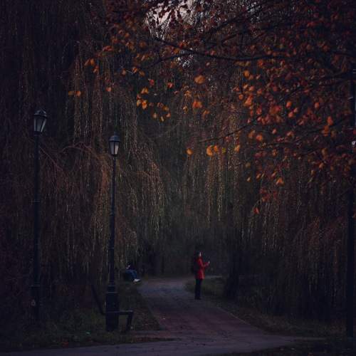 Остановимся