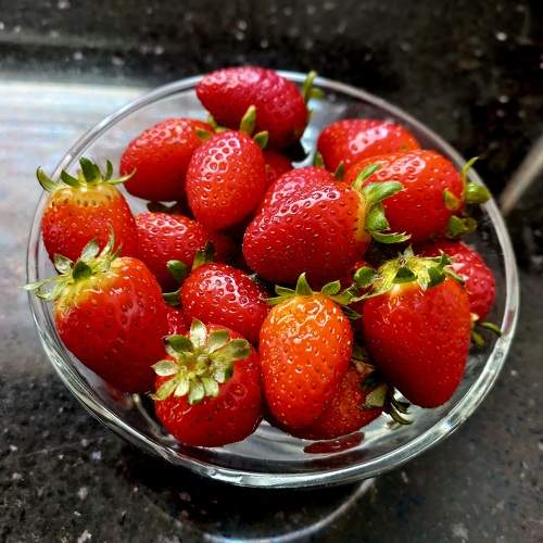 Photo #10365921