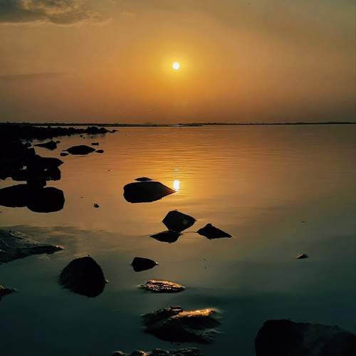 Photo #10366375