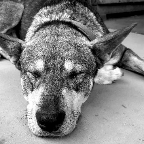 Photo #10366377