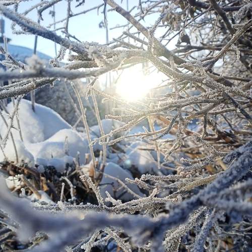 Photo #10366458