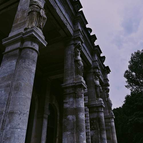Photo #10366566