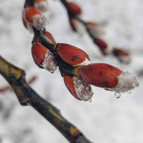 Photo #10366649