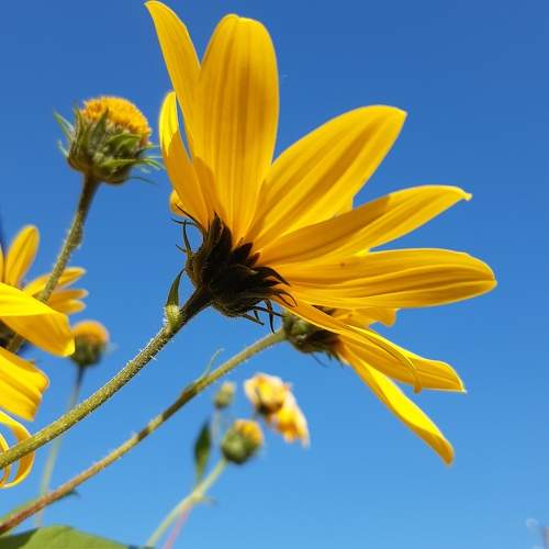 Photo #10366686
