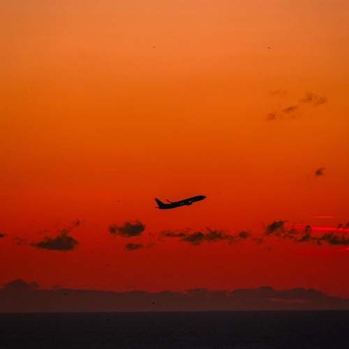 Photo #10366706