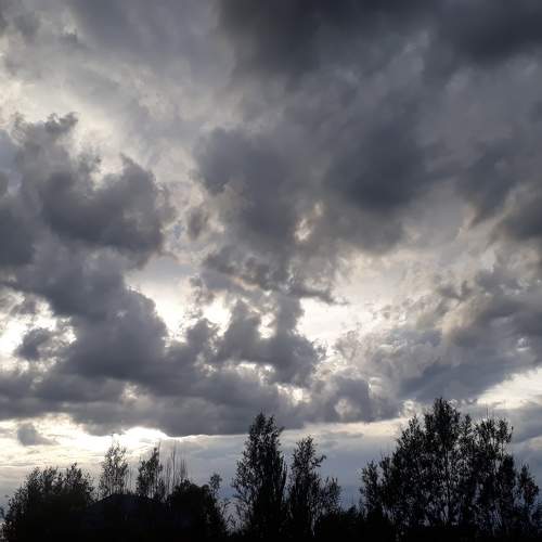 Photo #10366878
