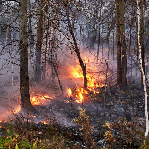 Photo #10367225
