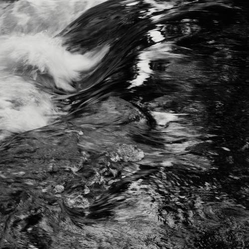 Photo #10367546