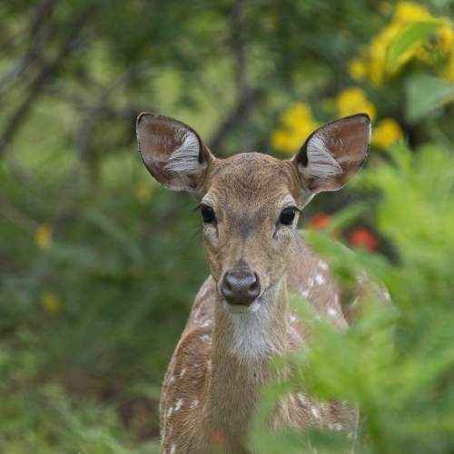 Photo #10367563