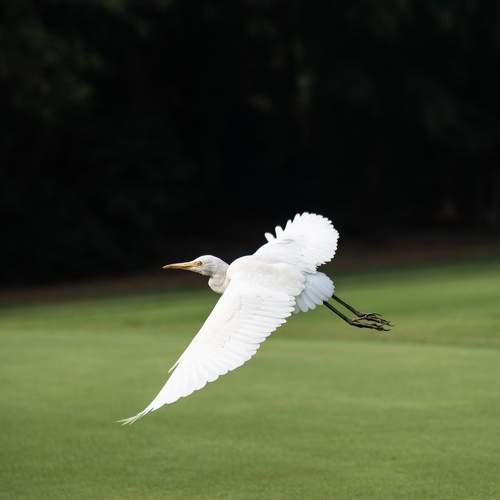 Фотография #10367997