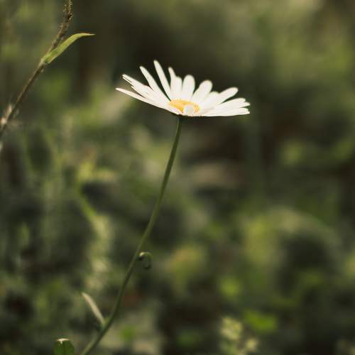 Photo #10368096