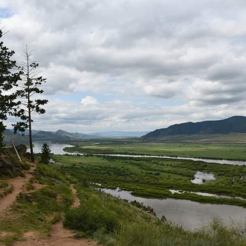 Photo #10368101