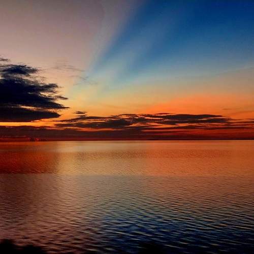 Photo #10368417