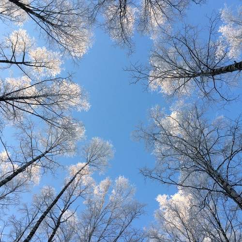 Photo #10368707