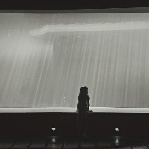 Photo #10368761