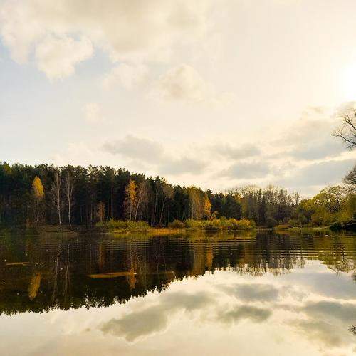 Photo #10368832