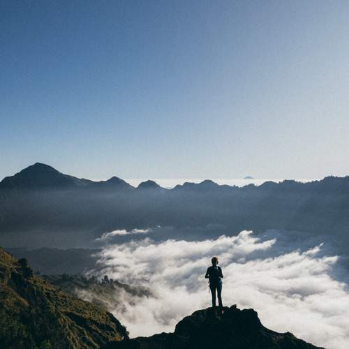 Photo #10368845