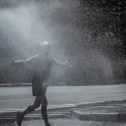 Photo #10368889