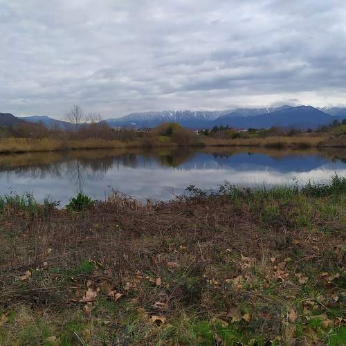 Photo #10369011