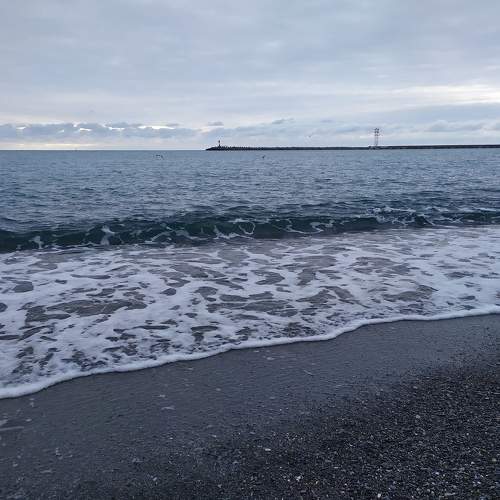 Photo #10369156