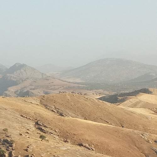 Photo #10369171