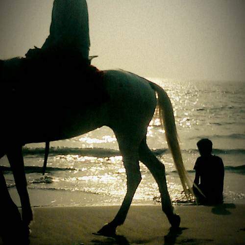 Photo #10369176